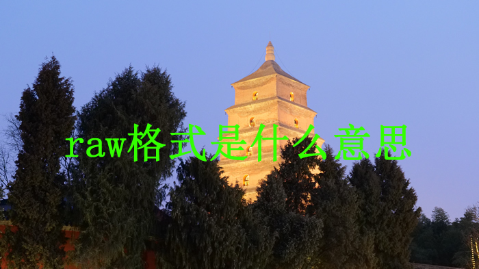 未命名-1
